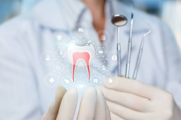 Professional Holistic Dental Care Services in Rockvale, TN